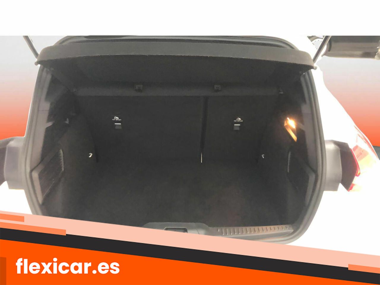Foto Ford Focus 24