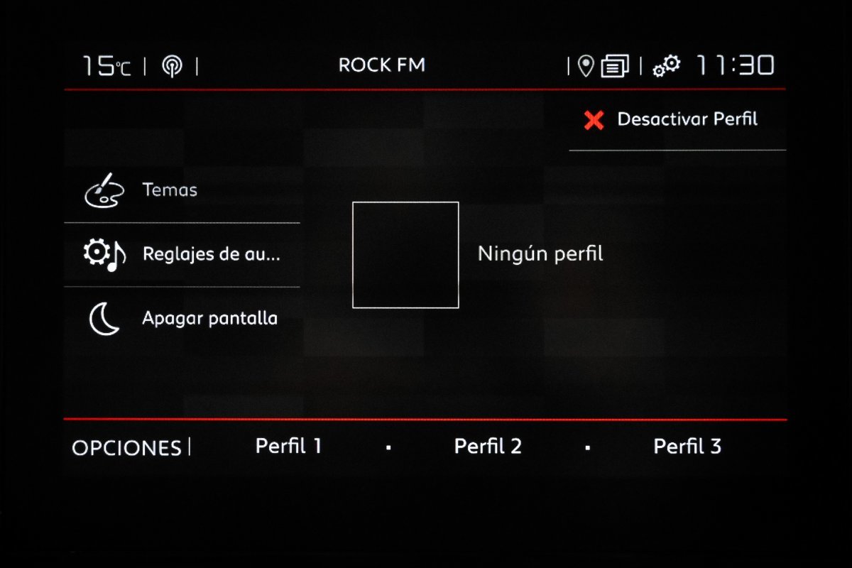 Foto Citroën Berlingo 16