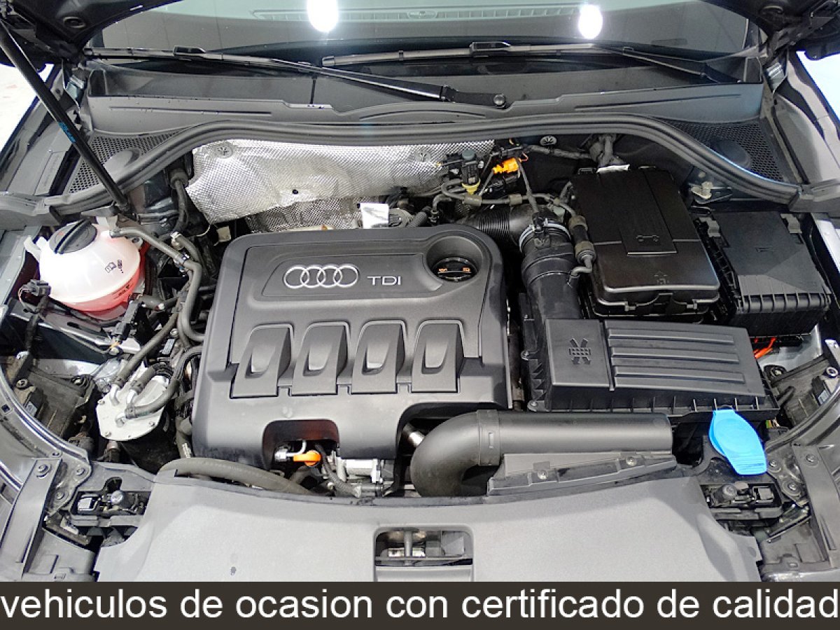 Foto Audi Q3 15